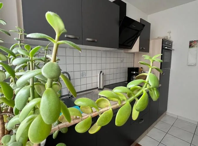 Ferienwohnung Sandmann